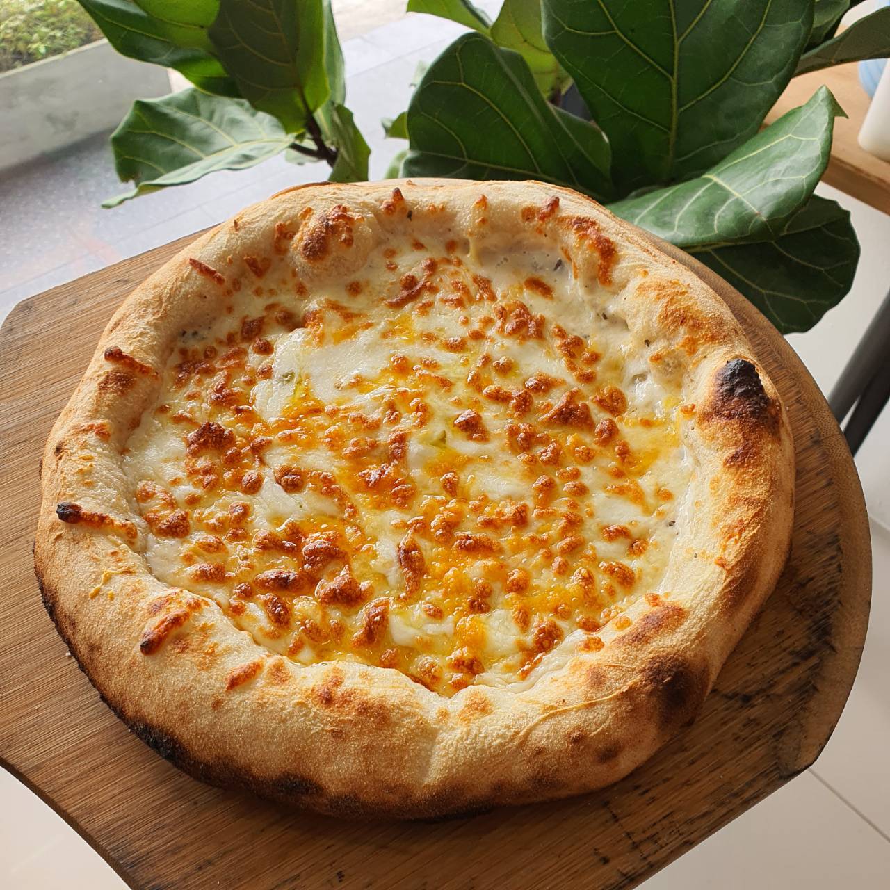 Pizza 4 Cheeses